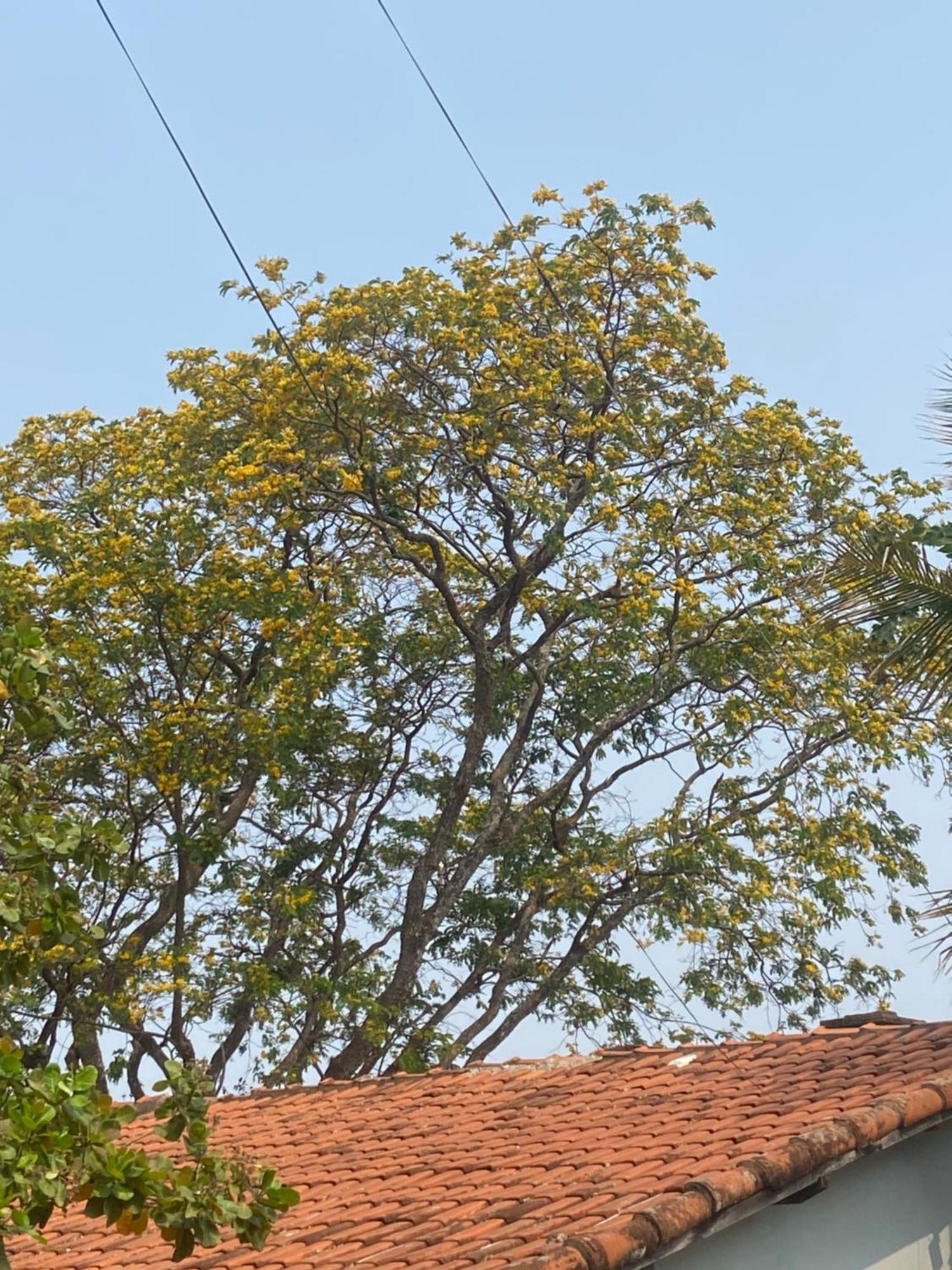 Quarto Privativo Chacara Pe Na Roca Brotas Ngoại thất bức ảnh
